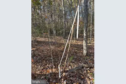 7120 Dominique Drive, Spotsylvania, VA 22551 - Photo 4