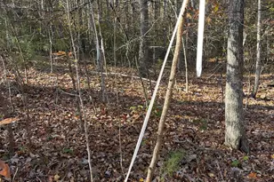 7120 Dominique Dr, Spotsylvania, VA 22551 - Photo 4