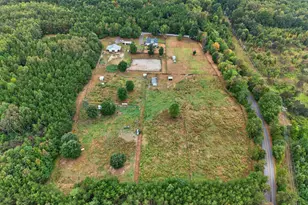 7841 Panier Rd, Spotsylvania, VA 22551 - Photo 86