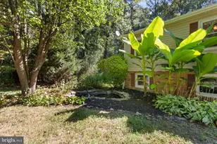 6035 Towles Mill Rd, Partlow, VA 22534 - Photo 44