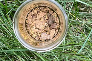 10812 Millridge Ln, Spotsylvania, VA 22553 - Photo 28