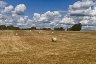 7016 Don Rd, Mineral, VA 23117 - Photo 16