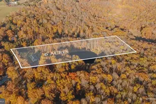 10325 Mill Pond Rd, Spotsylvania, VA 22551 - Photo 6