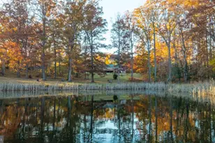 10325 Mill Pond Rd, Spotsylvania, VA 22551 - Photo 34