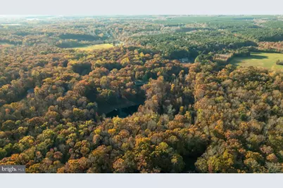 10325 Mill Pond Road, Spotsylvania, VA 22551 - Photo 42