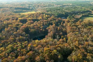 10325 Mill Pond Rd, Spotsylvania, VA 22551 - Photo 42