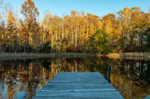 10325 Mill Pond Rd, Spotsylvania, VA 22551 - Photo 26