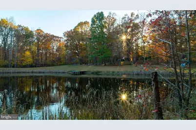 10325 Mill Pond Road, Spotsylvania, VA 22551 - Photo 36