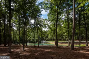 11204 Honor Bridge Farm Pl Pl, Spotsylvania, VA 22551 - Photo 70