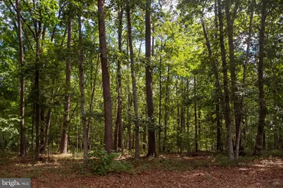 11204 Honor Bridge Farm Place Place, Spotsylvania, VA 22551 - Photo 68