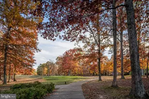 10816 Chatham Ridge Way, Spotsylvania, VA 22551 - Photo 66