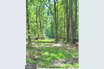 14409 Spotswood Furnace Road, Fredericksburg, VA 22407 - Photo 2
