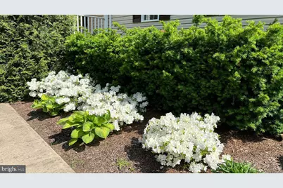 13403 Alva Brooks Lane, Spotsylvania, VA 22551 - Photo 8