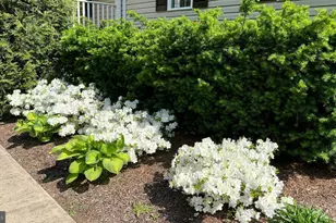 13403 Alva Brooks Ln, Spotsylvania, VA 22551 - Photo 8