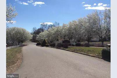 5501 Hickory Tree Lane, Mineral, VA 23117 - Photo 76