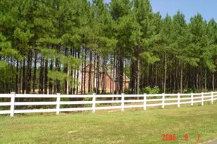 10041 Tarrington Wy, Spotsylvania, VA 22551 - Photo 4