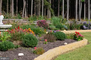 10041 Tarrington Wy, Spotsylvania, VA 22551 - Photo 4