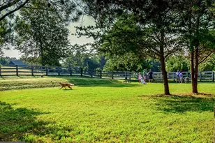 11606 Stonewall Jackson Dr, Spotsylvania, VA 22551 - Photo 74