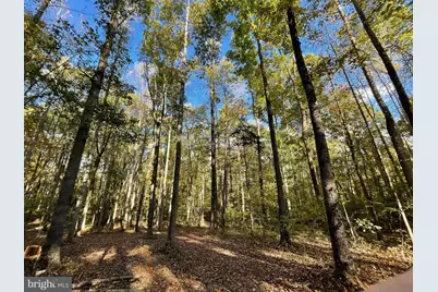 10405 Piney Branch Road, Spotsylvania, VA 22553 - Photo 8