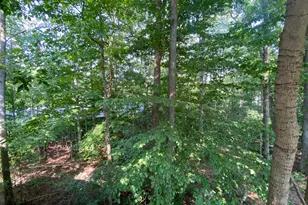 4115 Corbin Hall Ln, Fredericksburg, VA 22408 - Photo 40