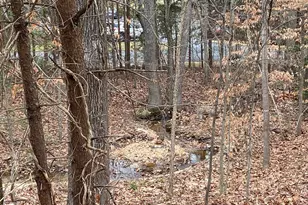 4115 Corbin Hall Ln, Fredericksburg, VA 22408 - Photo 42