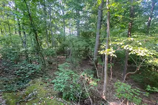 4115 Corbin Hall Ln, Fredericksburg, VA 22408 - Photo 38