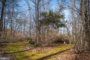 10610 King Eider Ct, Spotsylvania, VA 22553 - Photo 120