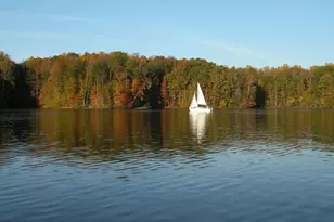 9000 Fox Run Dr, Spotsylvania, VA 22551 - Photo 14