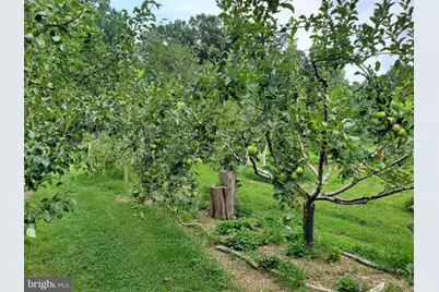 312 Timber Trail, Spotsylvania, VA 22551 - Photo 52