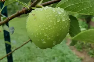 312 Timber Trail, Spotsylvania, VA 22551 - Photo 24