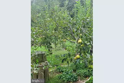 312 Timber Trail, Spotsylvania, VA 22551 - Photo 74