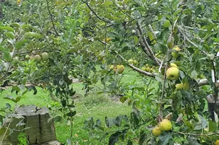 312 Timber Trail, Spotsylvania, VA 22551 - Photo 74