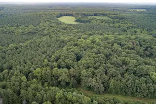 11304 Chivalry Chase Ln, Spotsylvania, VA 22551 - Photo 82