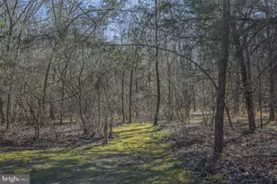 4338 Creighton Ln, Spotsylvania, VA 22551 - Photo 36