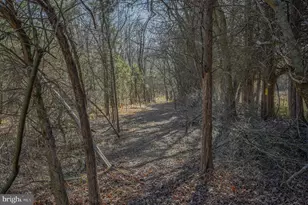 4338 Creighton Ln, Spotsylvania, VA 22551 - Photo 38