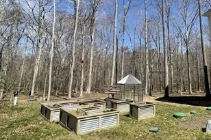 8800 Millwood Dr, Spotsylvania, VA 22551 - Photo 30