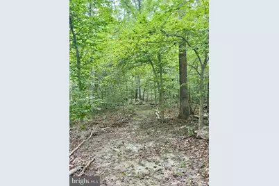 8800 Millwood Drive, Spotsylvania, VA 22551 - Photo 32