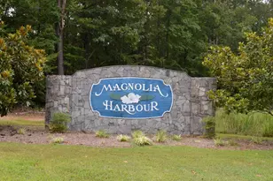 13101 Black Walnut Ln, Spotsylvania, VA 22551 - Photo 68