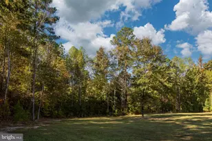 13201 Brooke Ridge Ln, Spotsylvania, VA 22551 - Photo 82