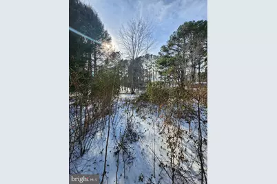 9546 Rapidan Drive, Fredericksburg, VA 22407 - Photo 8