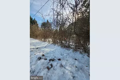 9546 Rapidan Drive, Fredericksburg, VA 22407 - Photo 2