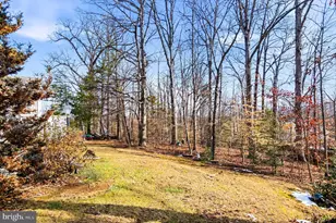 11211 Springfield Dr, Fredericksburg, VA 22408 - Photo 54