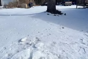 8021 Camp Town Rd, Spotsylvania, VA 22551 - Photo 12