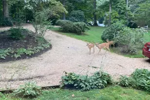 10221 Helena Terrace, Spotsylvania, VA 22553 - Photo 28