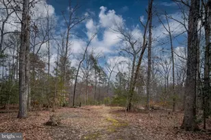 7931 Curtis Ln, Spotsylvania, VA 22551 - Photo 60