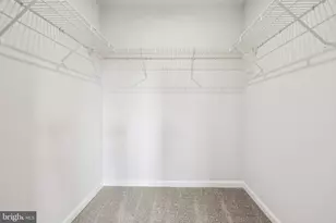 6407 Farrier Wy, Fredericksburg, VA 22407 - Photo 52