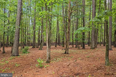 11000 Farmview Way, Spotsylvania, VA 22551 - Photo 38