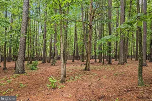 11000 Farmview Way, Spotsylvania, VA 22551 - Photo 38