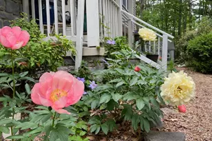 8507 Leslie Ct, Fredericksburg, VA 22407 - Photo 10