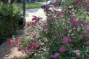 8507 Leslie Ct, Fredericksburg, VA 22407 - Photo 8